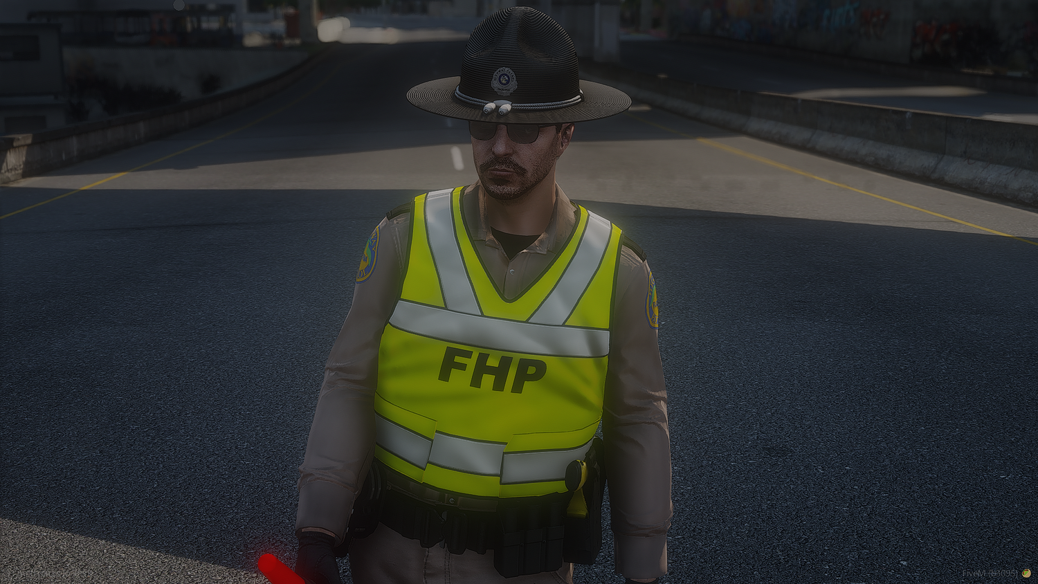 FHP EUP Package