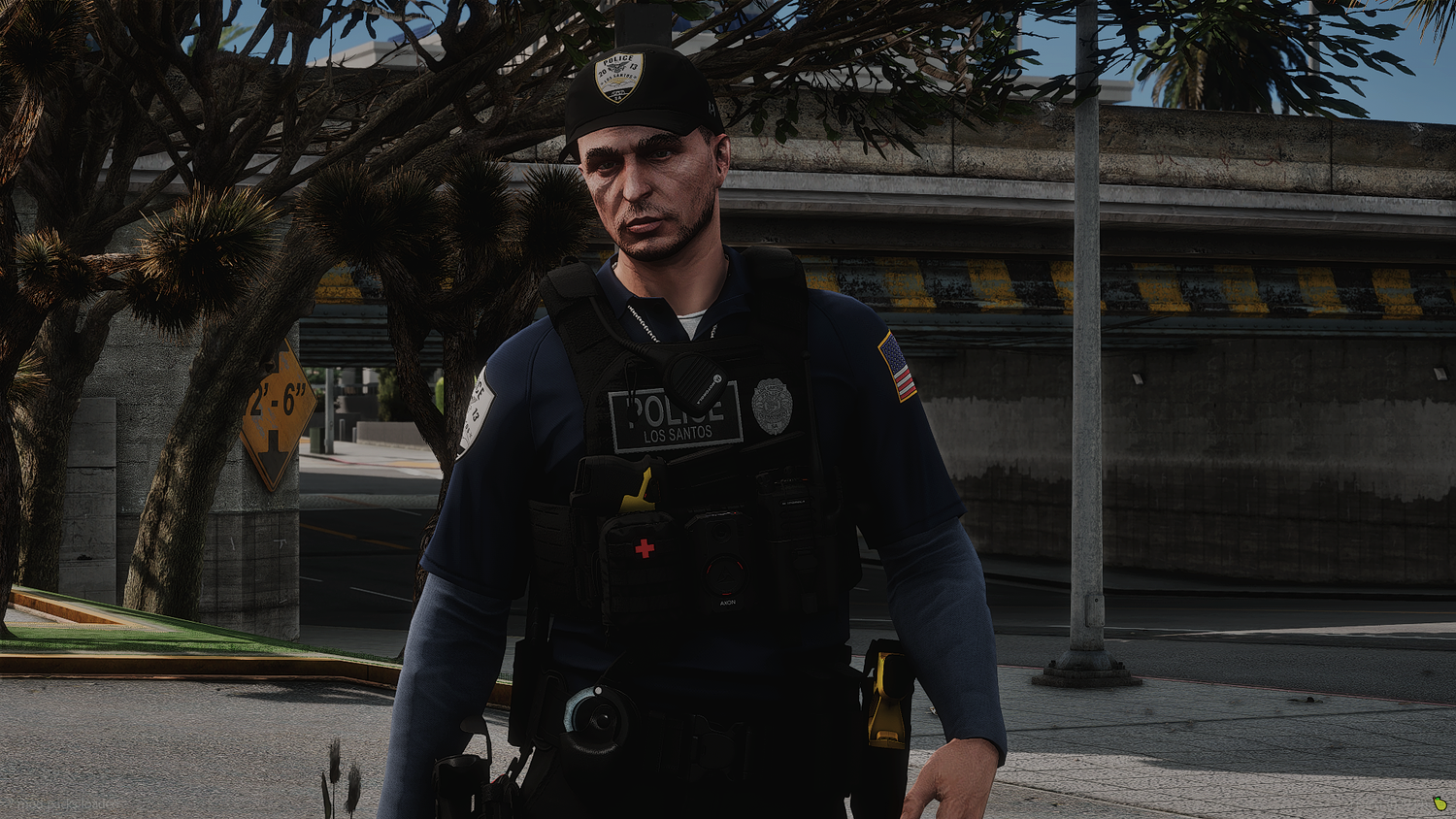 2025 LSPD EUP Package