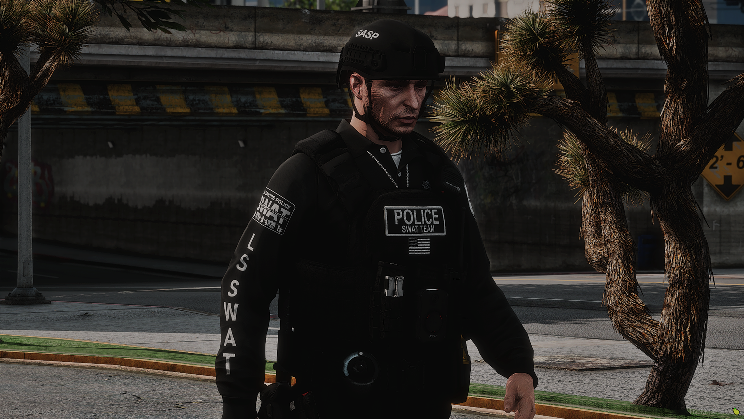 2025 LSPD EUP Package