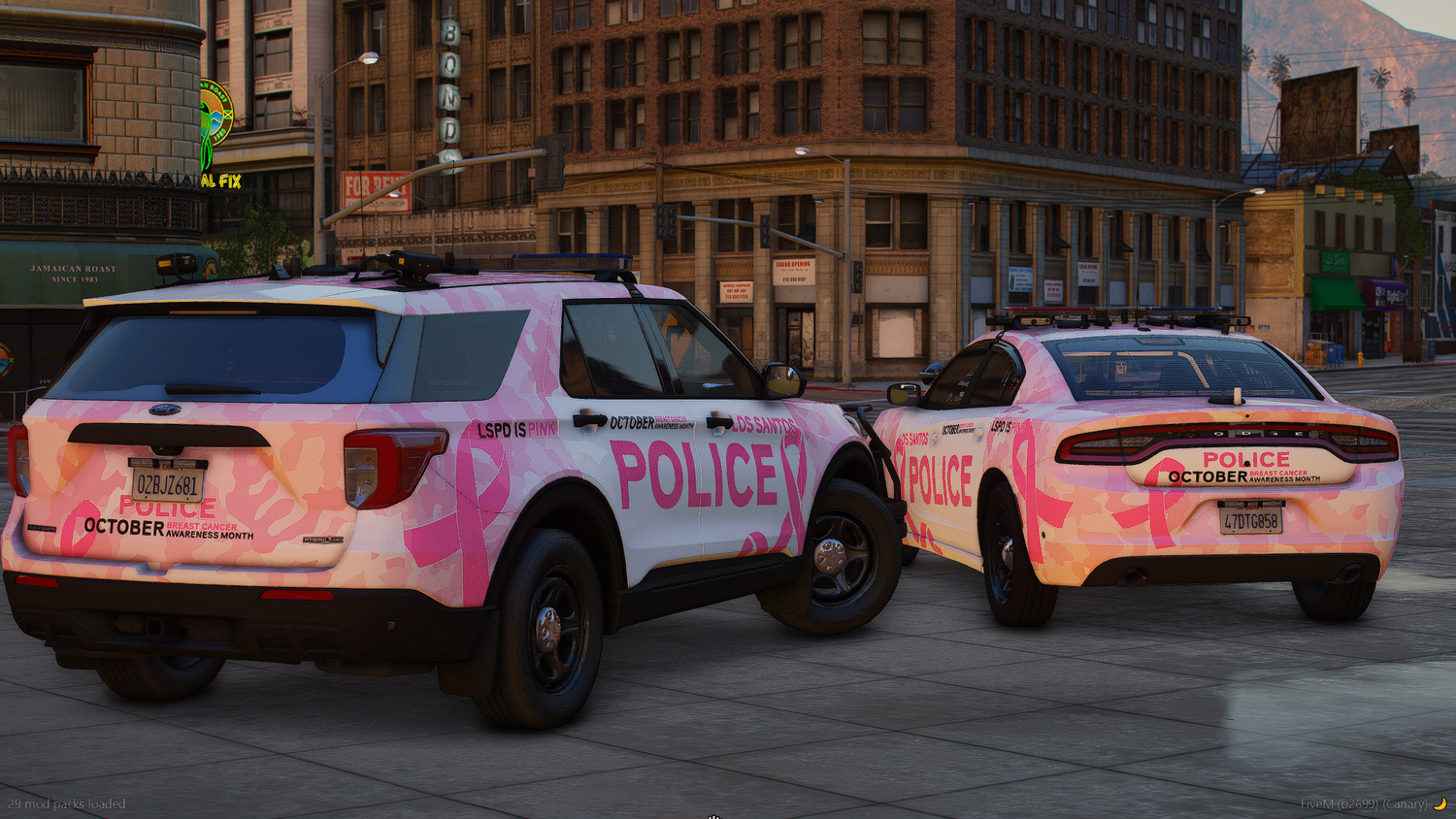 Breast Cancer Awareness Charity Listing