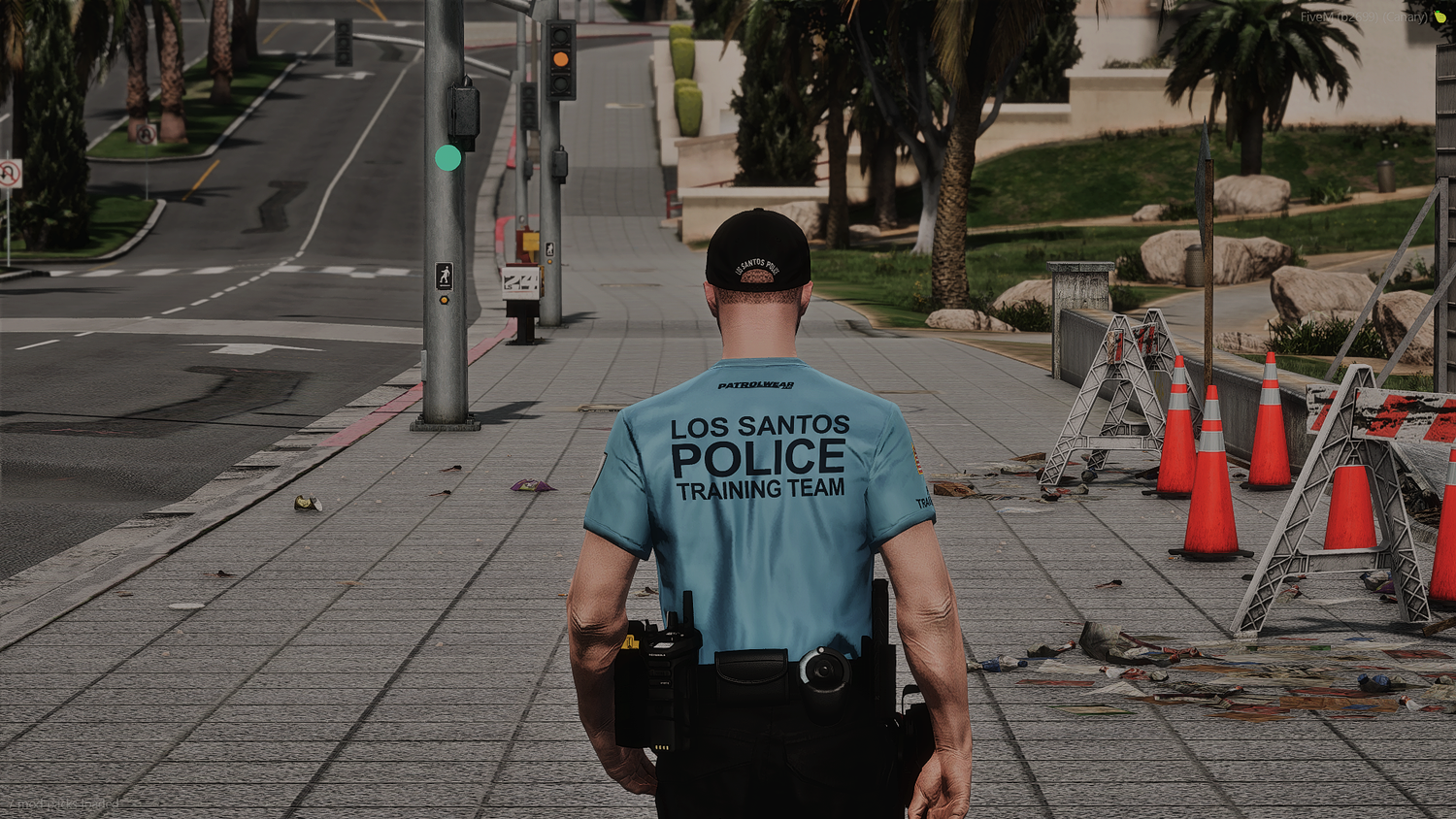 2025 LSPD EUP Package