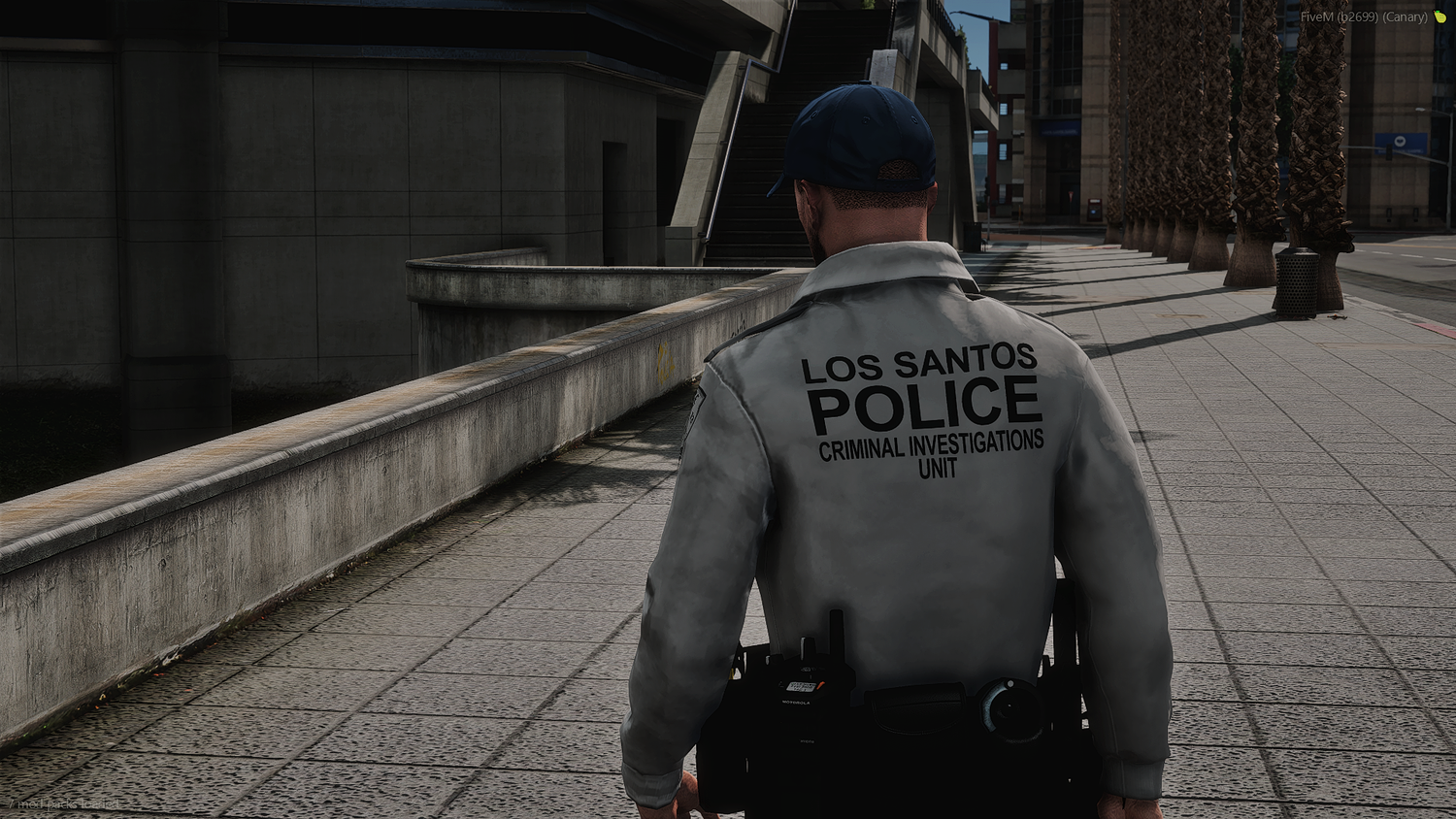 2025 LSPD EUP Package