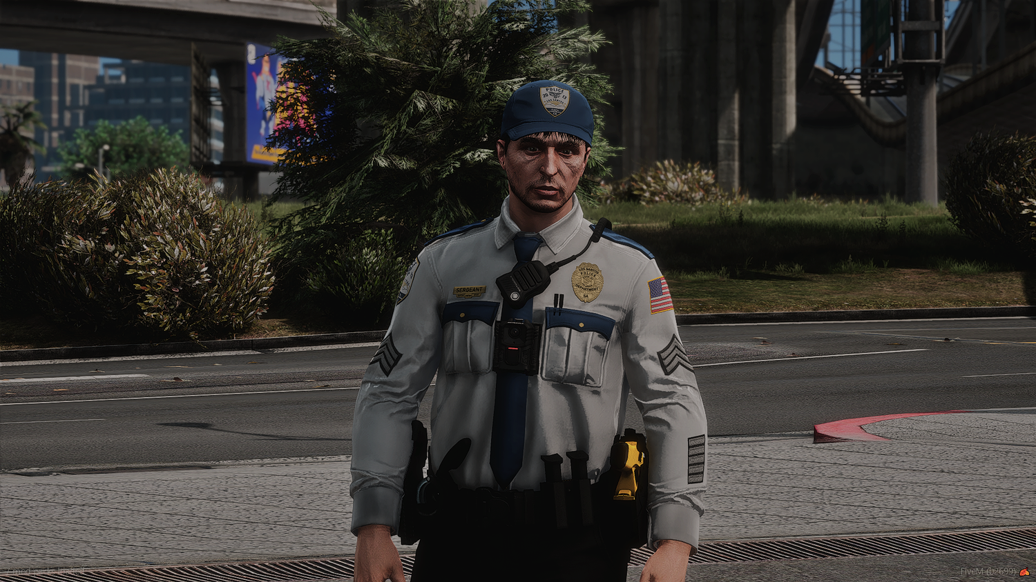 2025 LSPD EUP Package