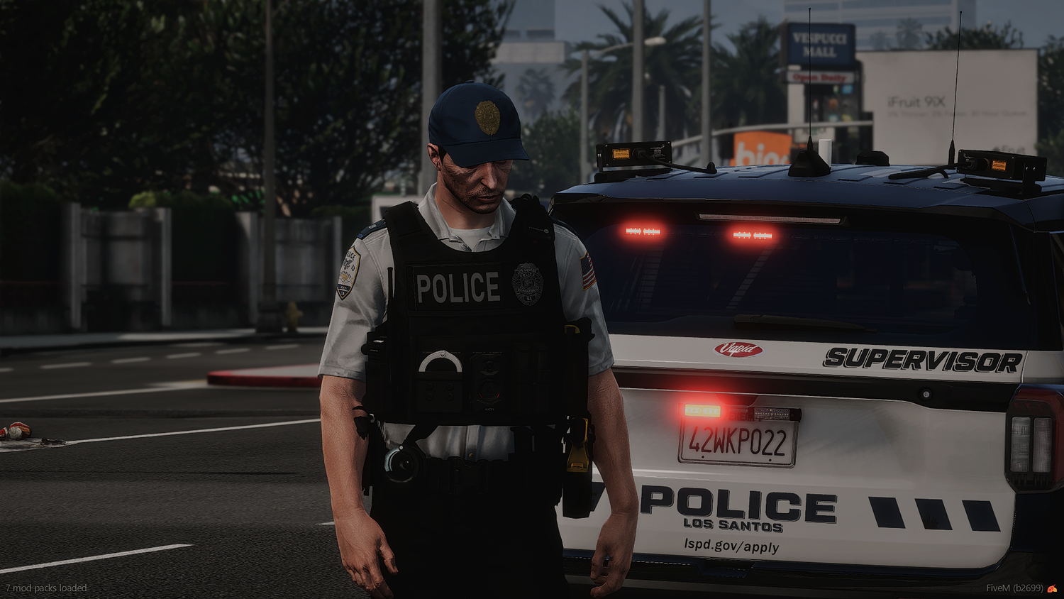 2025 LSPD Livery Package