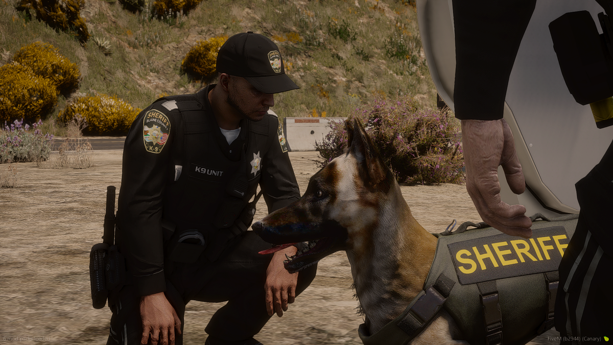 2026 BCSO EUP Mega Package
