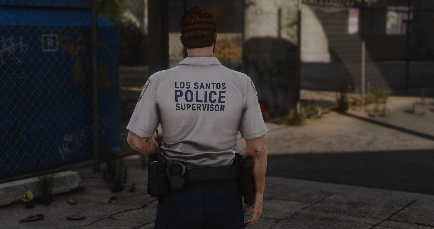 2025 LSPD EUP Package