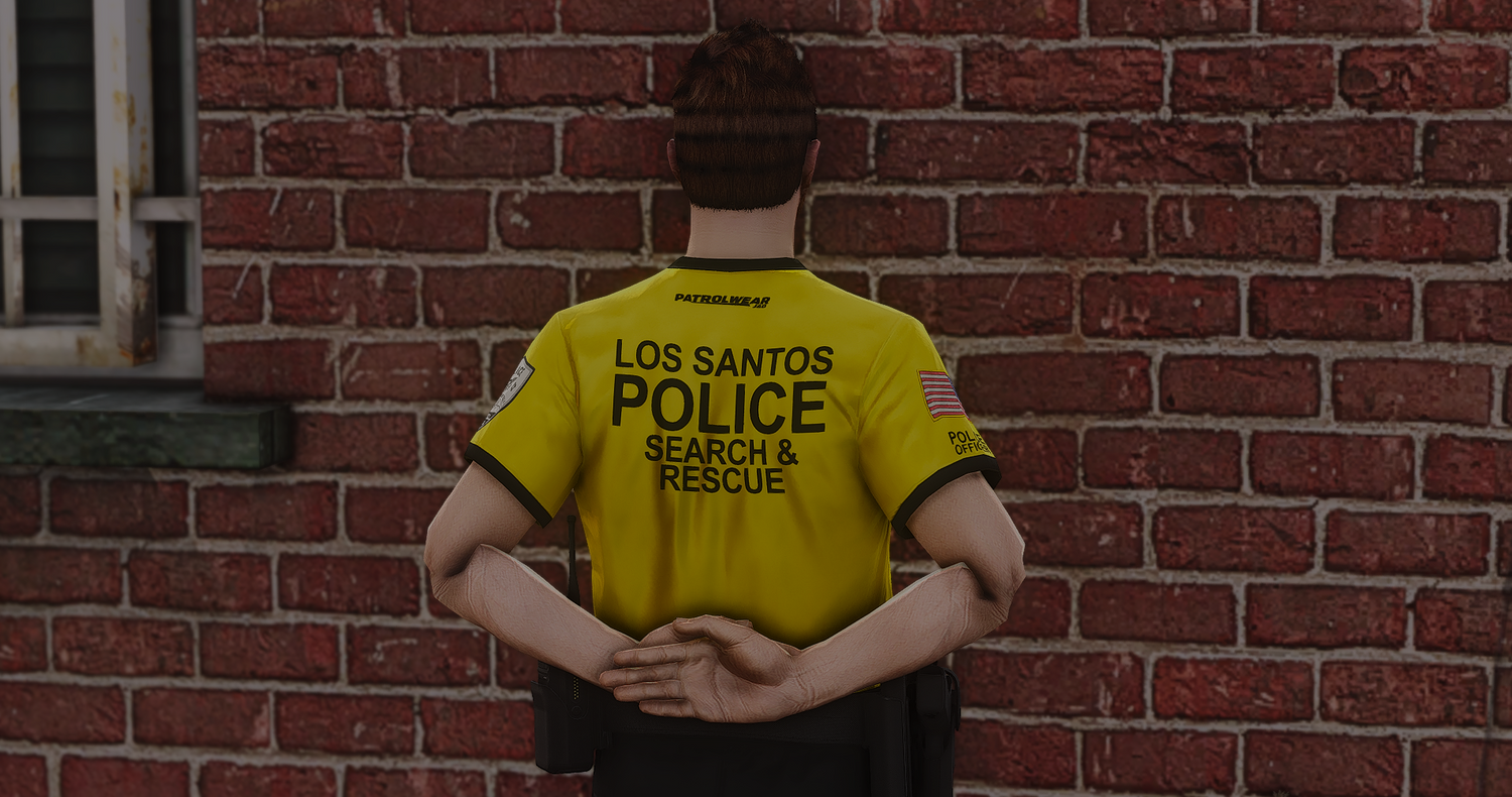 2025 LSPD EUP Package