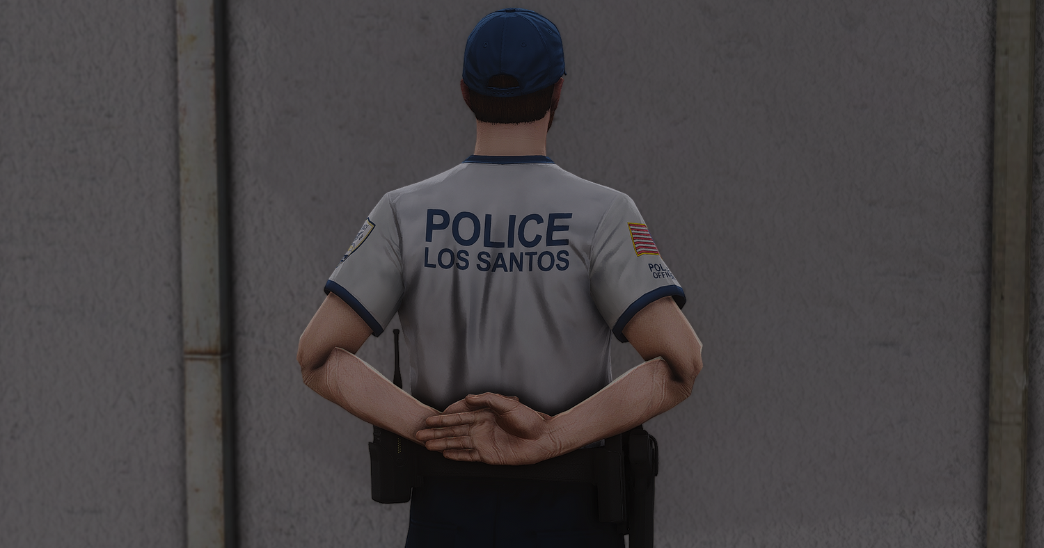 2025 LSPD EUP Package