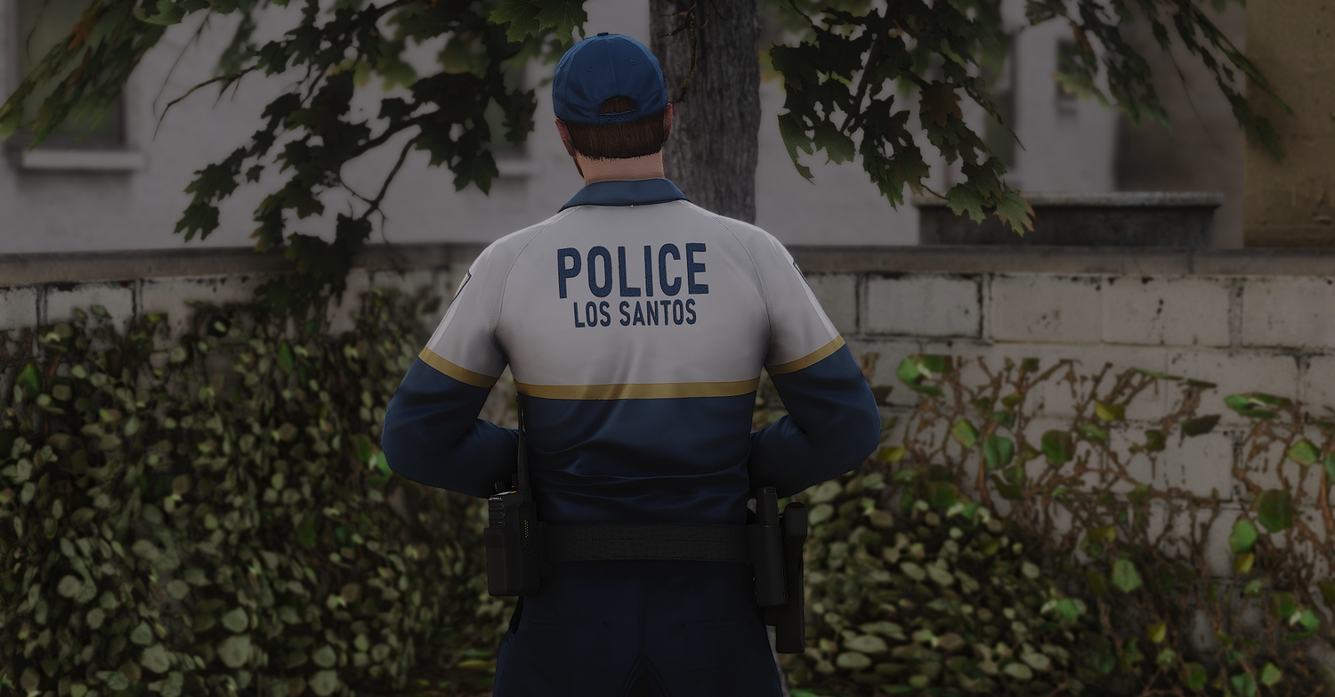 2025 LSPD EUP Package