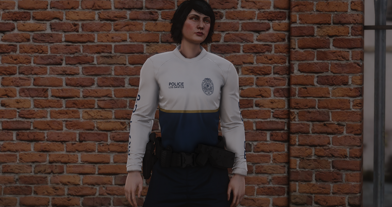 2025 LSPD EUP Package