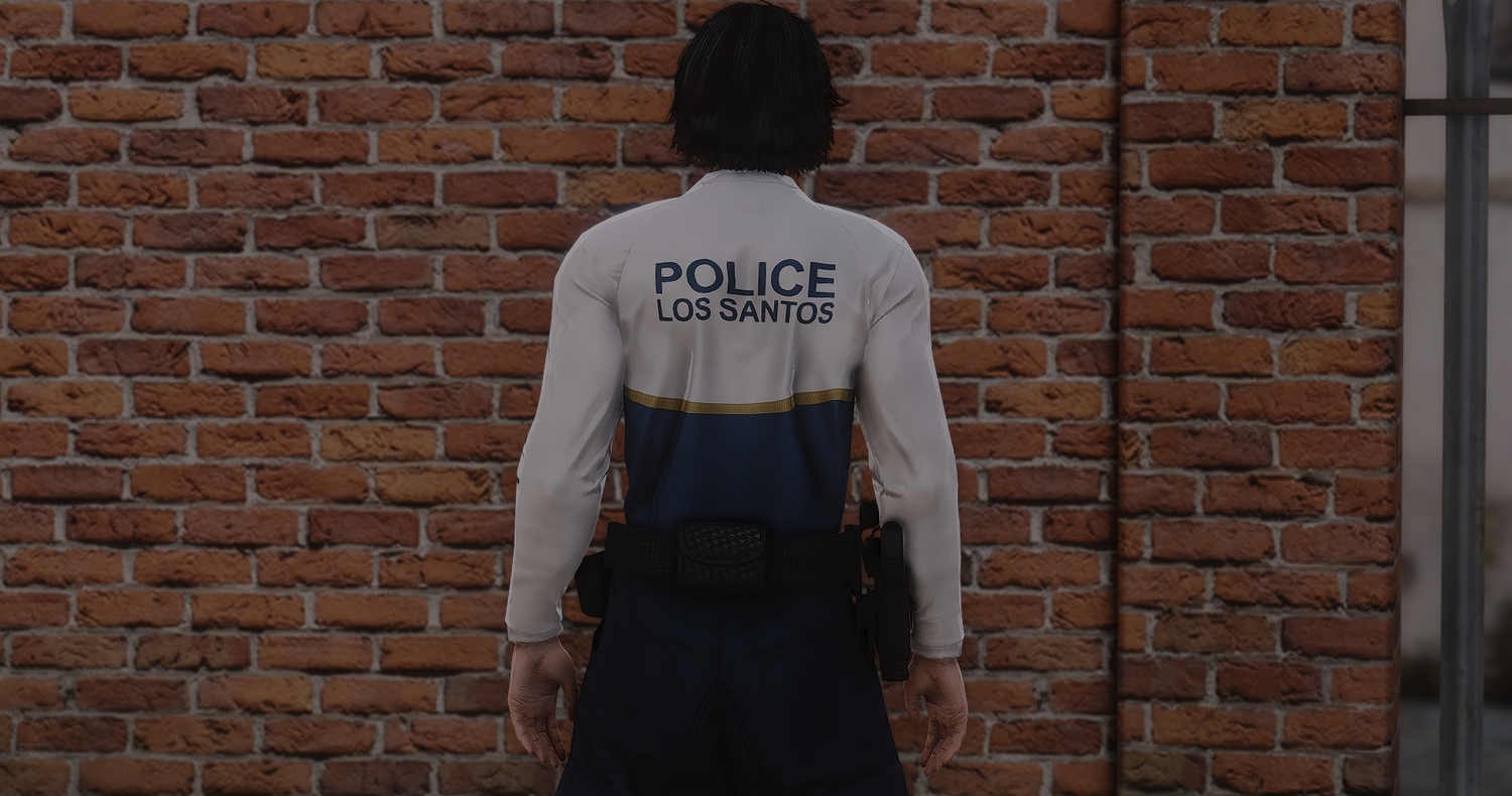 2025 LSPD EUP Package