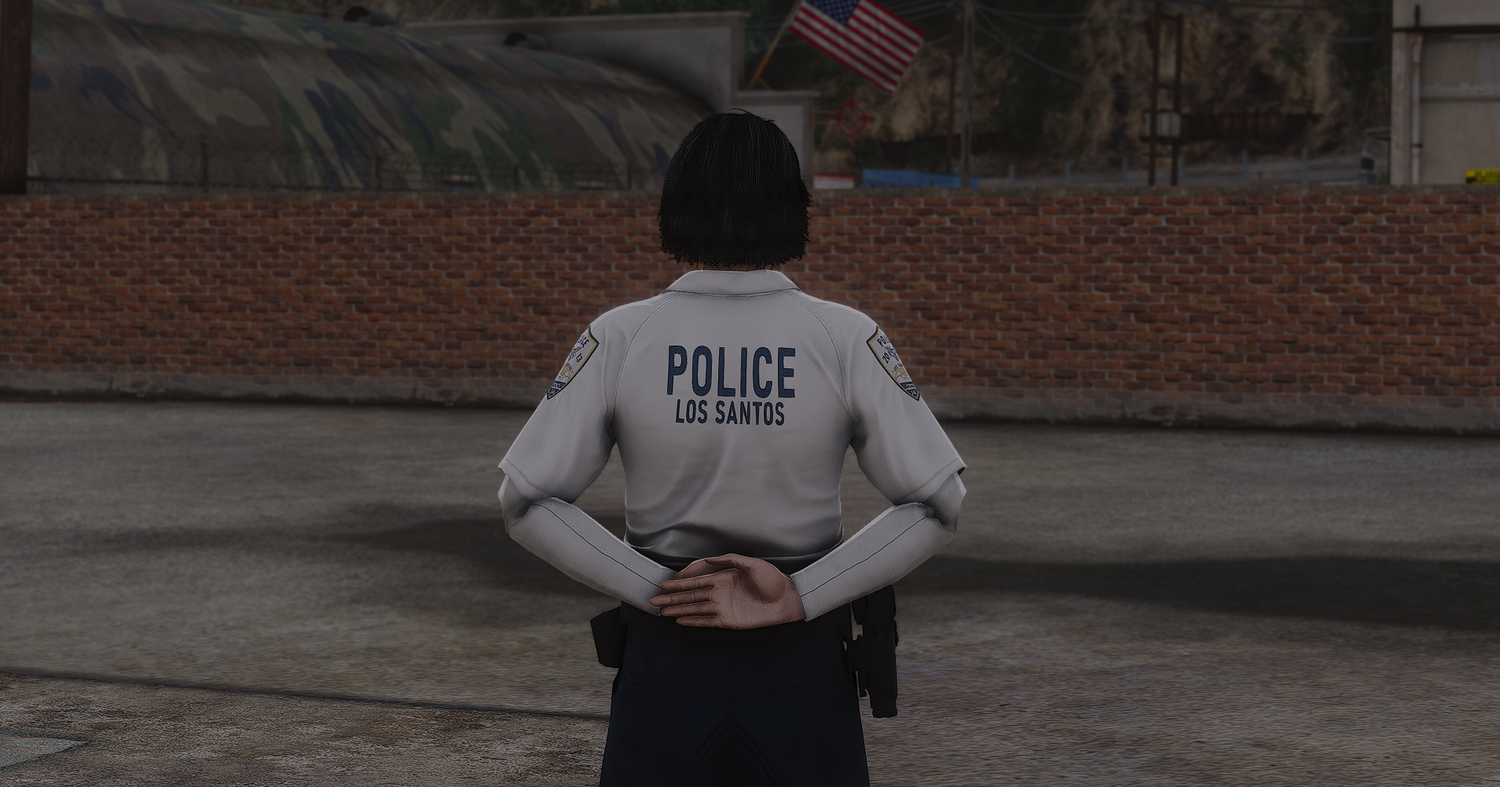 2025 LSPD EUP Package