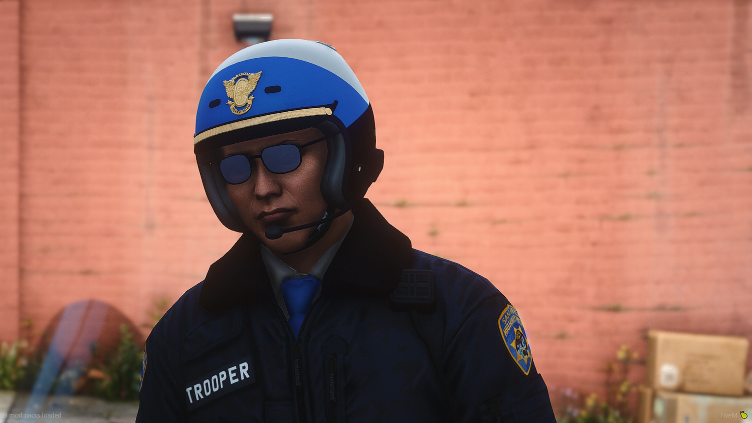 SAHP EUP Package (CHP Style)