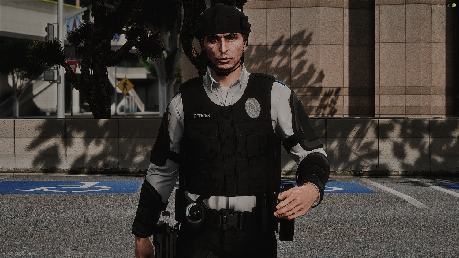 2025 LSPD EUP Package
