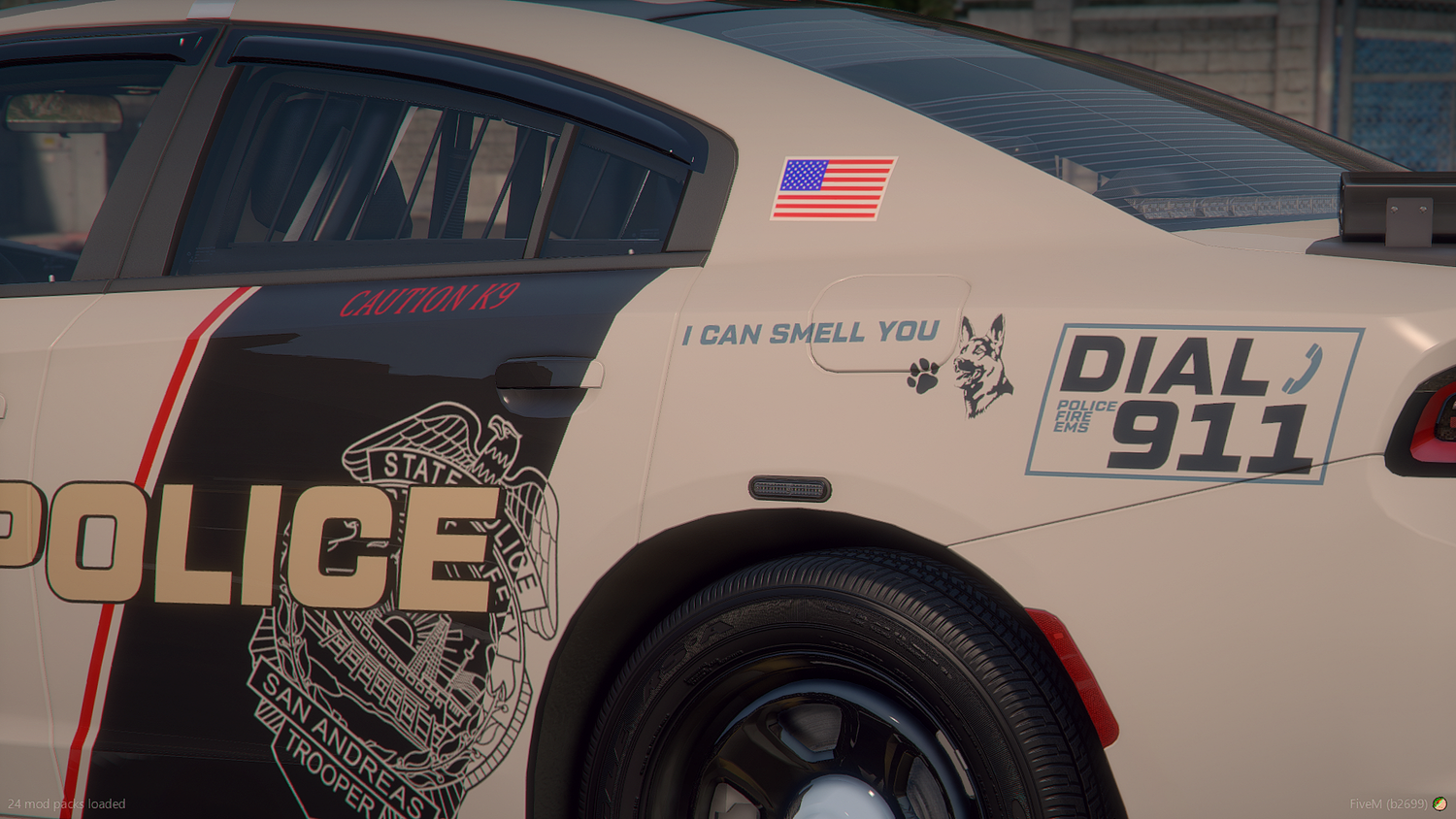 2025 SASP Livery Package