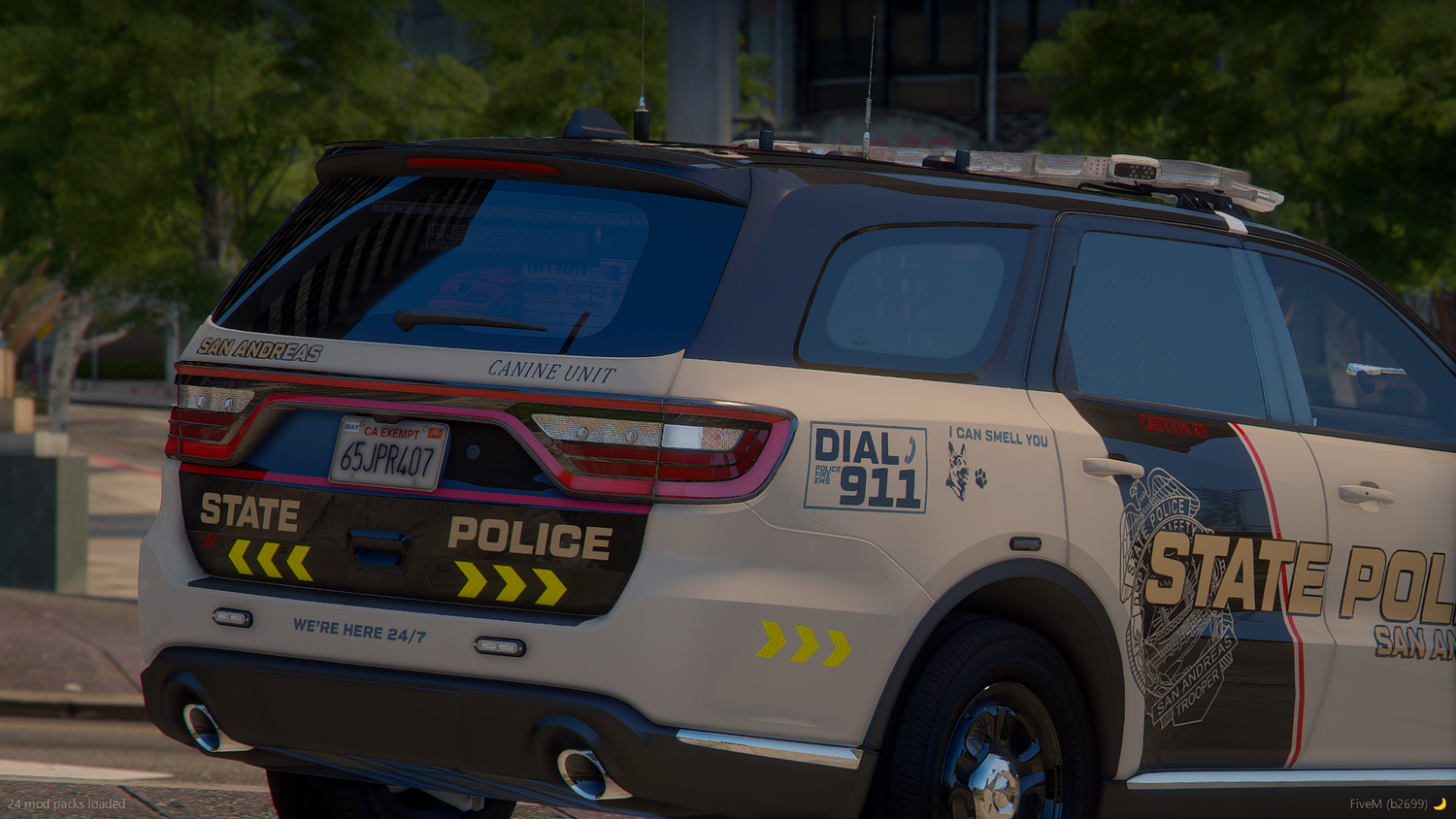 2025 SASP Livery Package