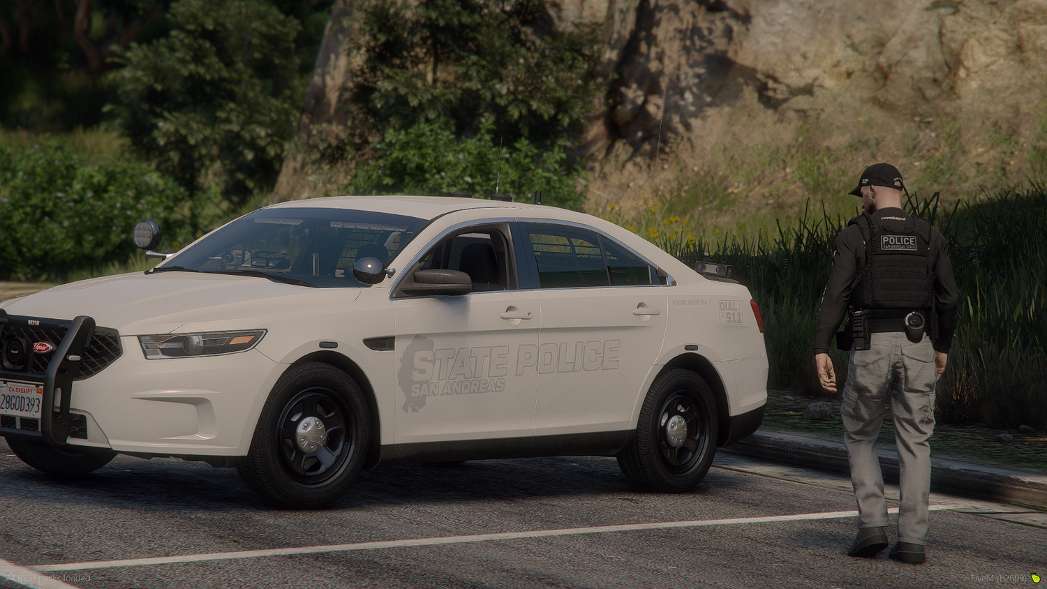 2025 SASP Livery Package