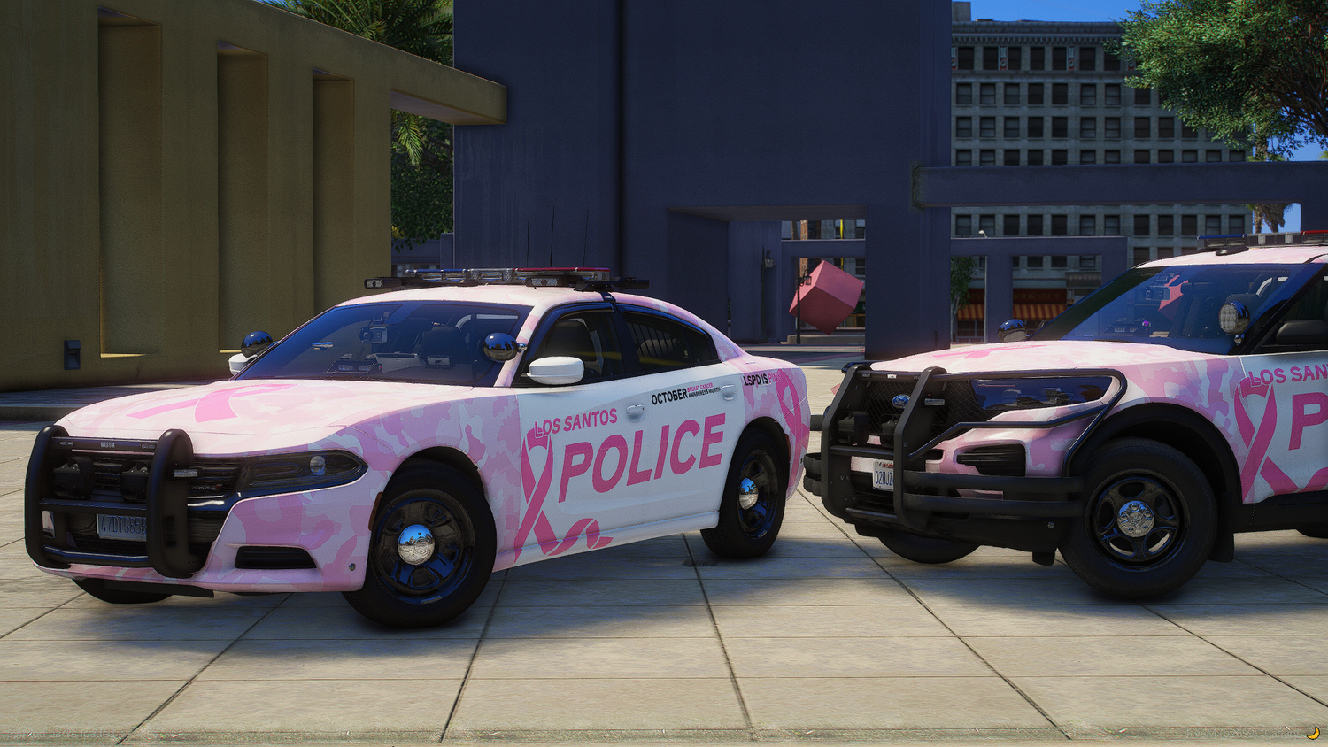 Breast Cancer Awareness Charity Listing