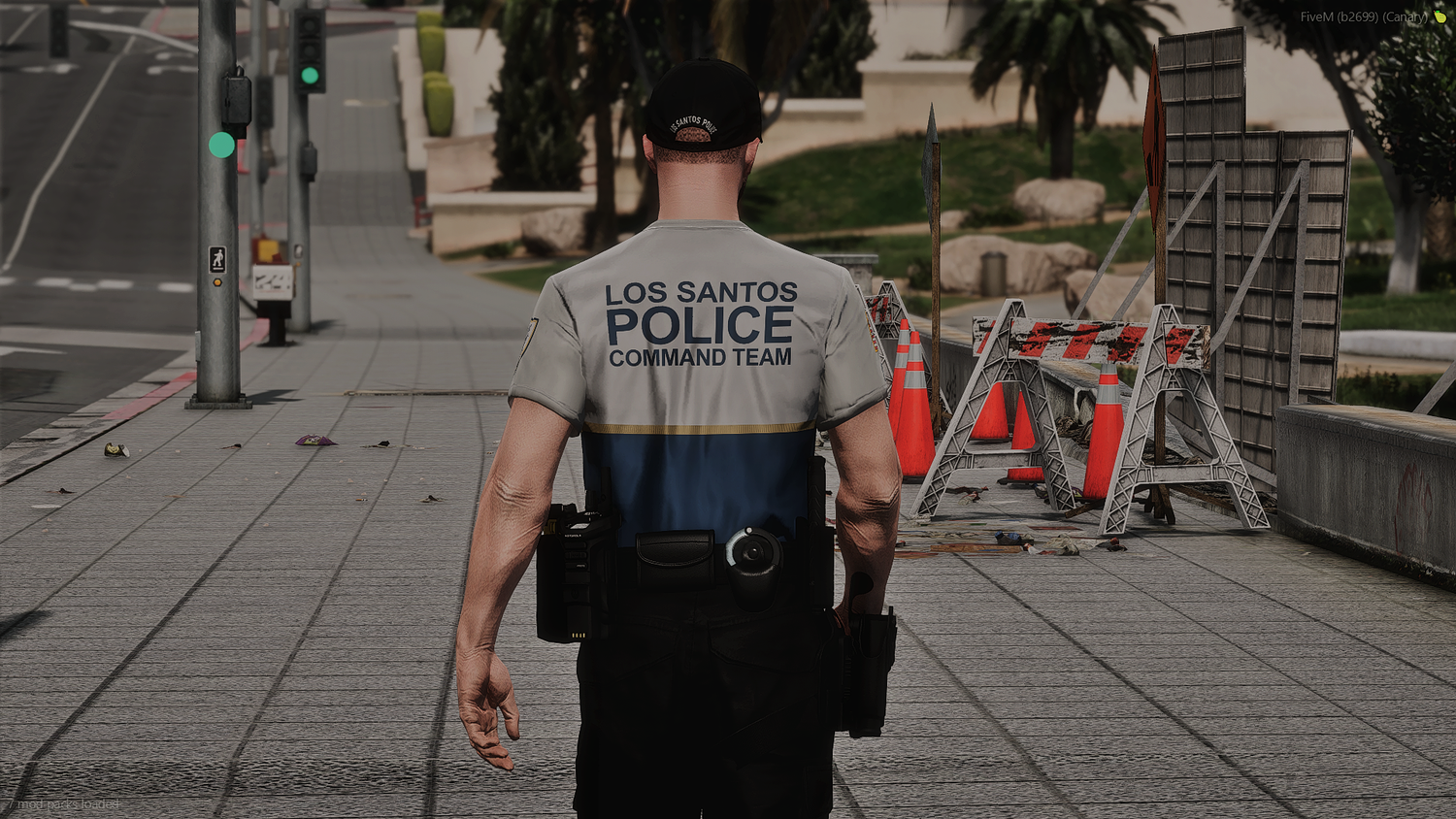 2025 LSPD EUP Package