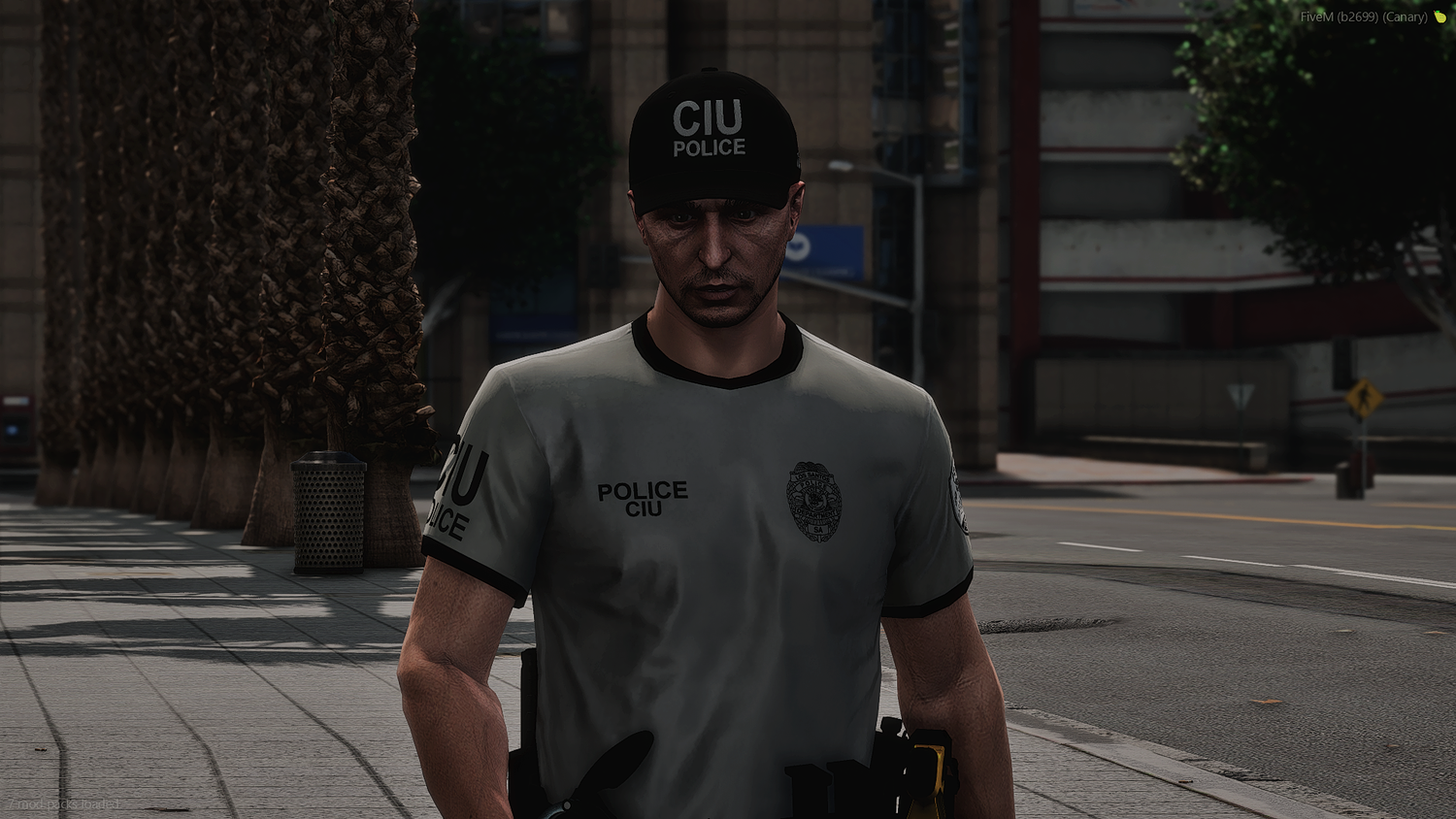 2025 LSPD EUP Package