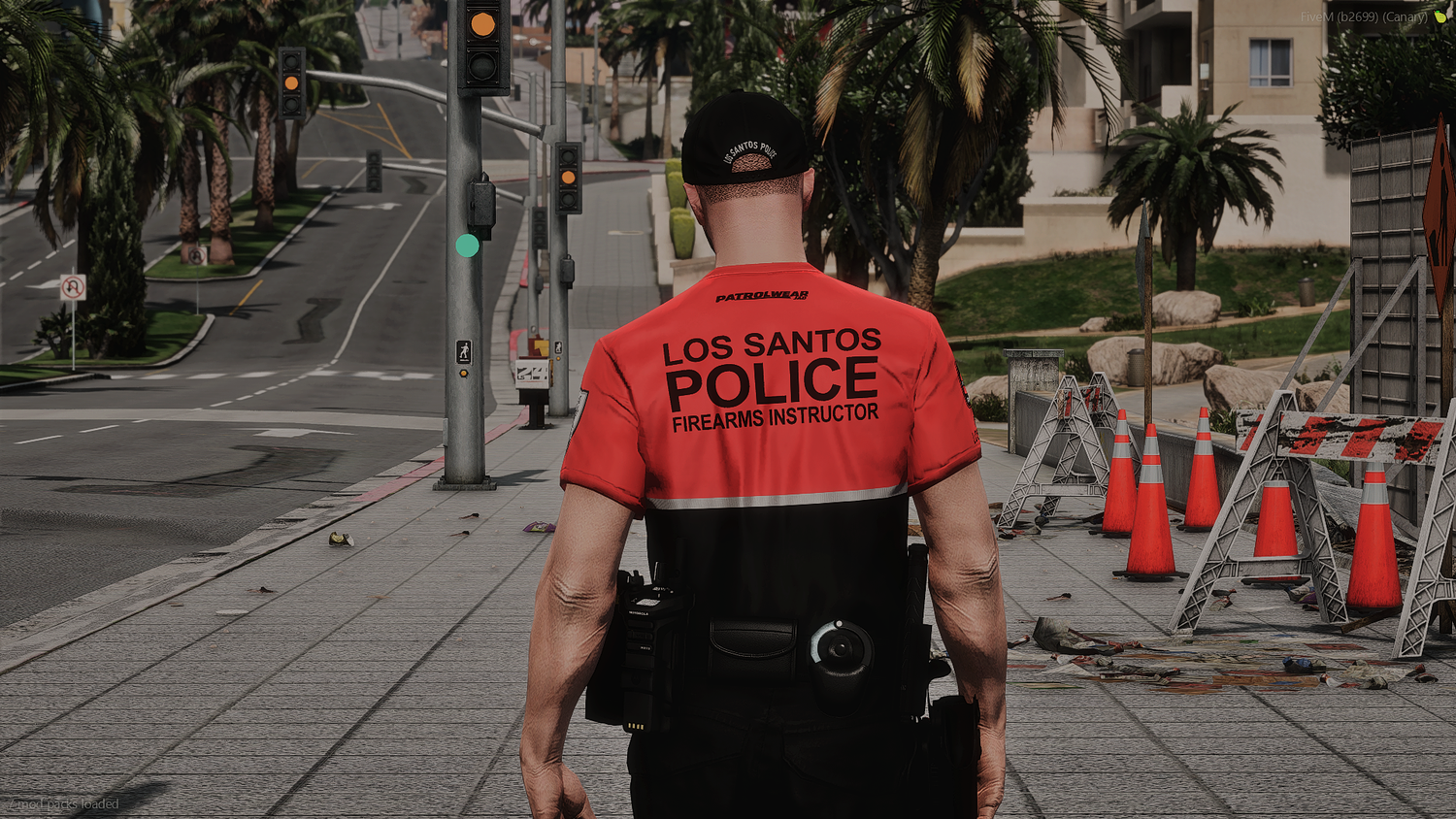 2025 LSPD EUP Package