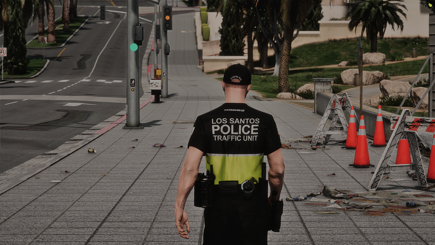 2025 LSPD EUP Package