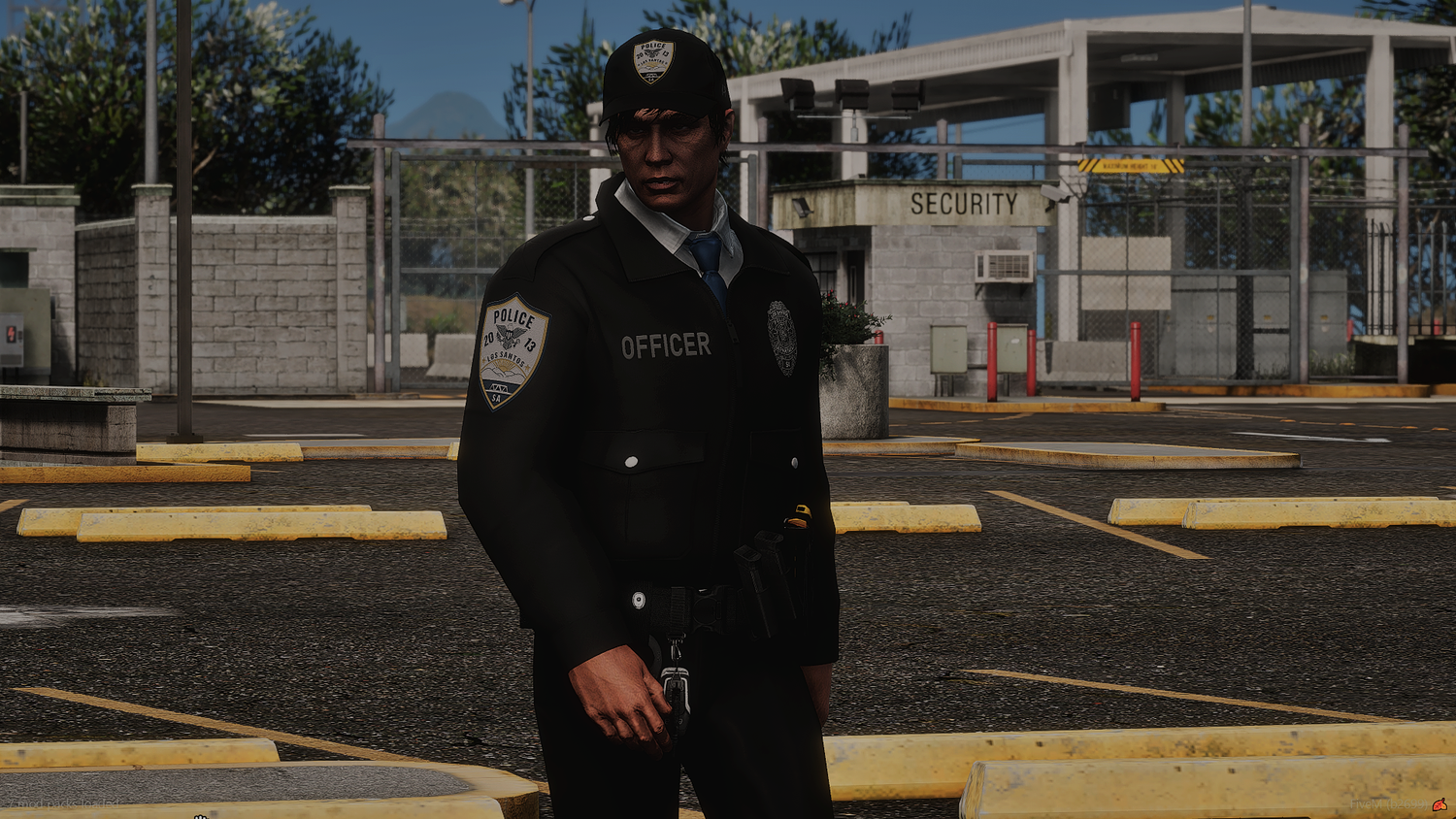 2025 LSPD EUP Package