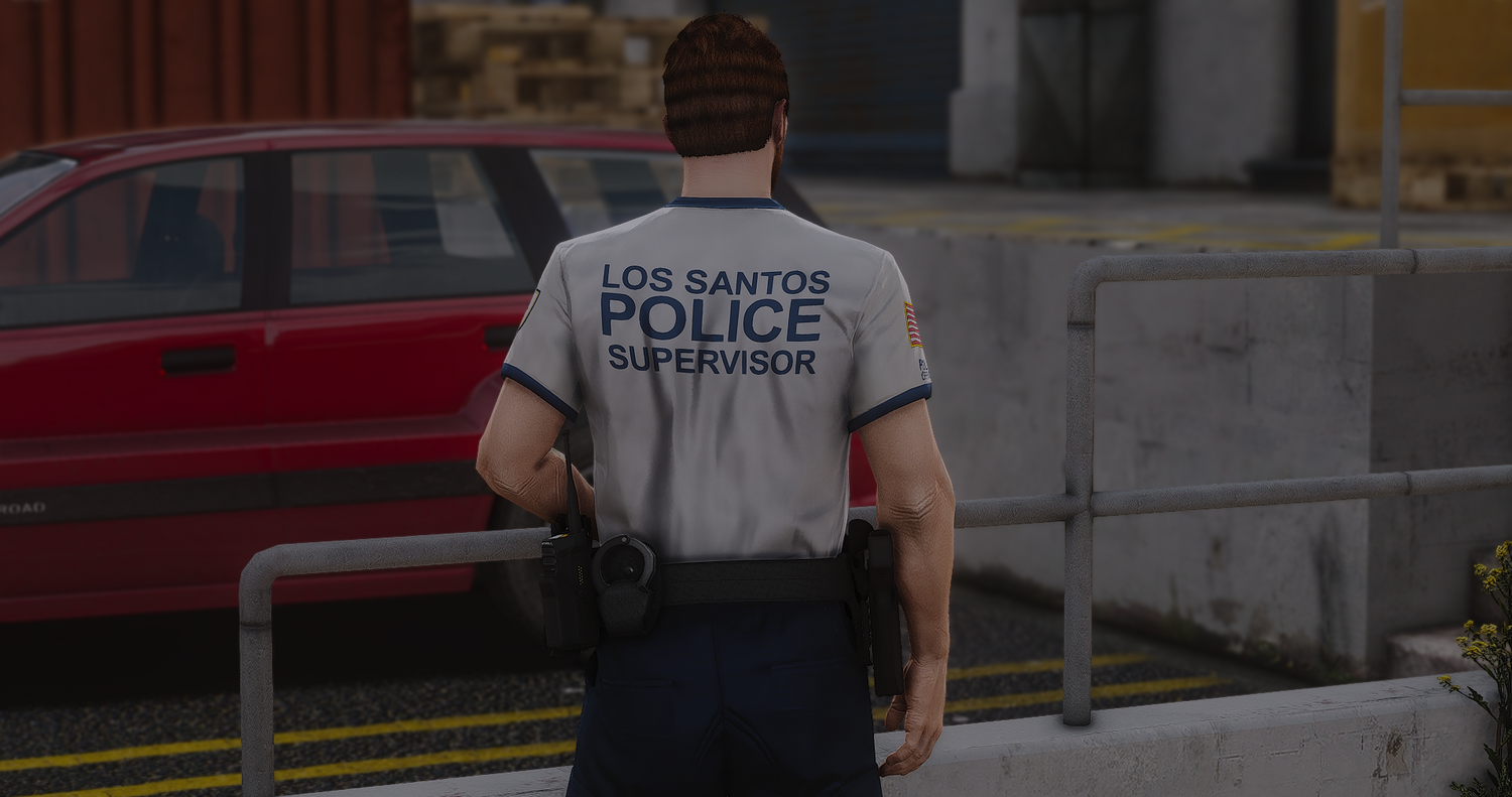 2025 LSPD EUP Package
