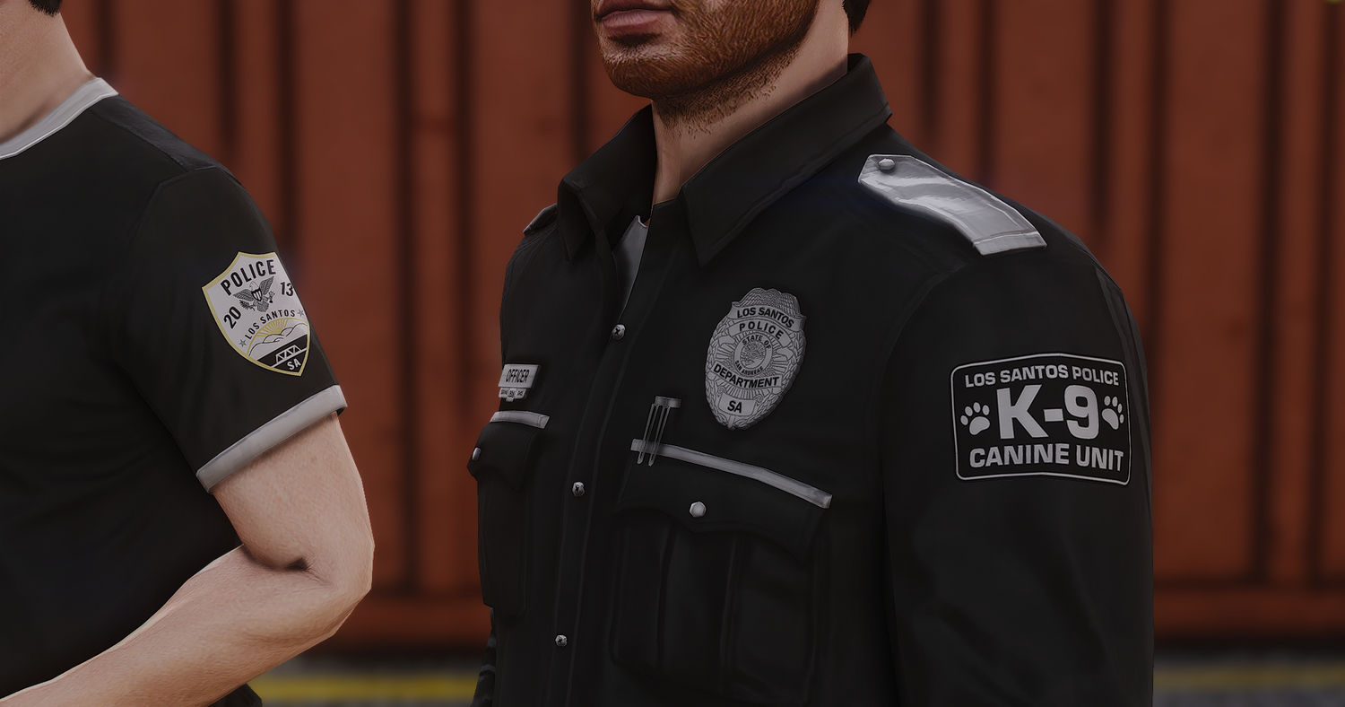2025 LSPD EUP Package