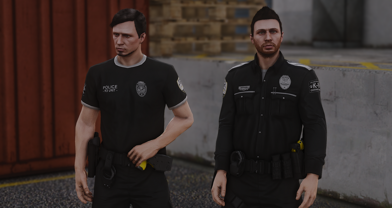 2025 LSPD EUP Package